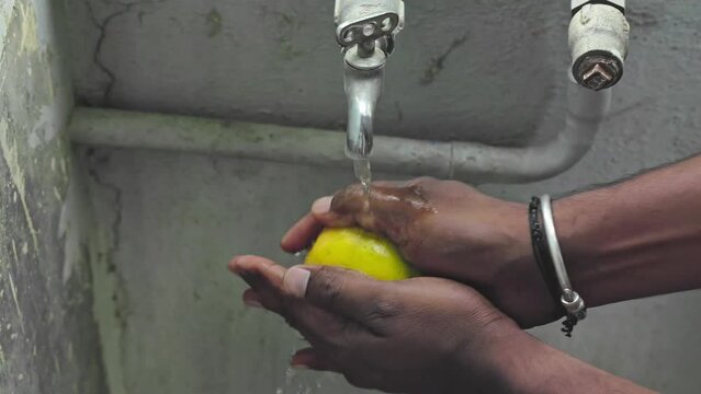 Male hands wash Alphonso or badami mango fruit under tap water at home
