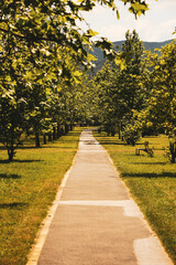 Naklejka premium autumn in the park