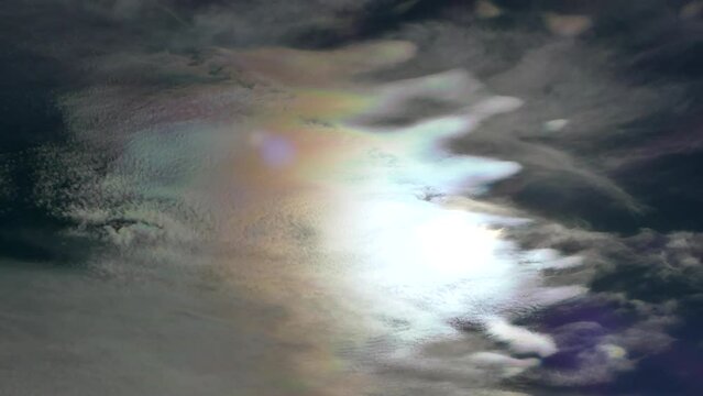 Natural blue sky with flying bird and colorful decorative clouds moving very slowly - Cloud iridescence, irisation around sun. Sunny autumn calm sky with pearl colors - with zoom in and zoom out.