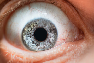 Caucasian male grey blue eye close up super macro