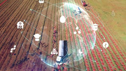 agriculture smart farming technology - industry 4.0.Concept of Sugarcane Harvesting and Planting with Technology and smart farming. . High quality 4k footage