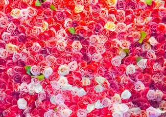 roses background colorful for wedding love valentine's day 