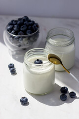Homemade yogurt with blueberries. Yogurt in jars on a white background