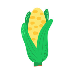 Vector icon head of corn on a white background