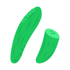 Vector illustration of cucumber isolated on white background.