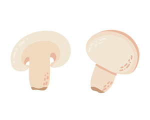 Cartoon vector icon illustration of mushroom champignon.