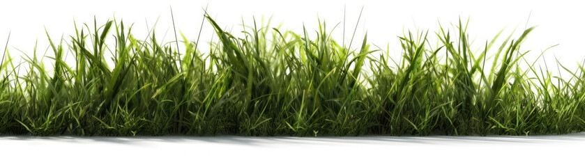 Fototapeta premium Foreground lawn grass on white background. Generative AI