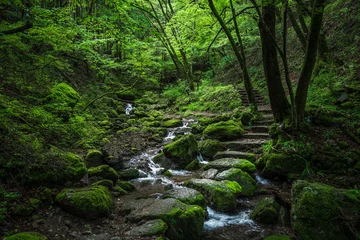 Poster 御岳山　御岳渓谷　ロックガーデン【東京都・青梅市】　The rock garden of Mt. Mitake is a famous natural tourist destination in Tokyo. © Naokita
