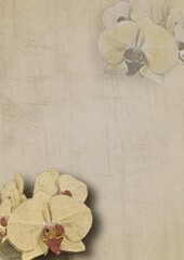 paper with orchid flowers
