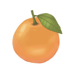 orange with leaves