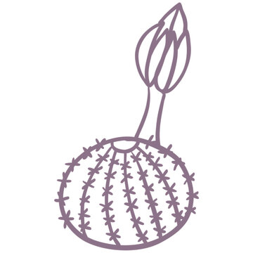 Cute purple cactus Hand drawn illustration