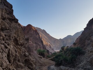 Mountain gorge with palm trees Egyptian Vaadi
