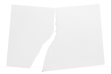Torn sheet of paper cut out