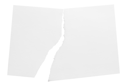 Torn sheet of paper cut out