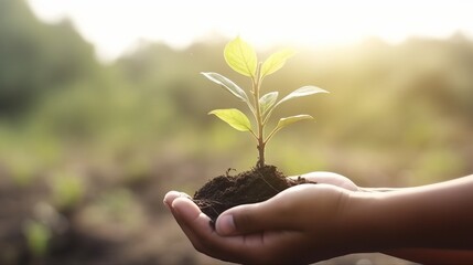 Hand holding small tree for planting. Concept green eco world earth day. Made with Generative AI. 
