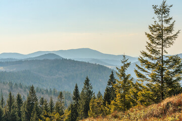 View of the peaks of Beskid Żywiecki (Poland) from the hiking trail near Rycerzowa on an spring sunny day