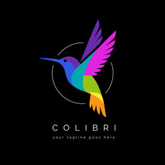 Colorful hummingbird logo on black background. - obrazy, fototapety, plakaty