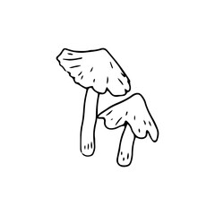 Mushroom, great design for any purposes. Doodle vector illustration. Edible mushrooms and toadstools. Healthy food illustration. Autumn forest plants sketches for textiles, wallpaper, coloring