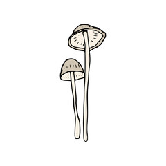 Mushroom, great design for any purposes. Doodle vector illustration. Edible mushrooms and toadstools. Healthy food illustration. Autumn forest plants sketches for textiles, wallpaper, coloring