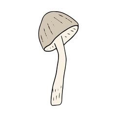 Mushroom, great design for any purposes. Doodle vector illustration. Edible mushrooms and toadstools. Healthy food illustration. Autumn forest plants sketches for textiles, wallpaper, coloring