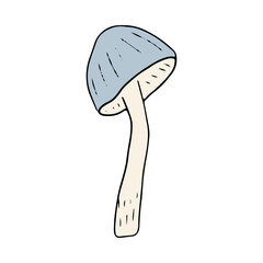 Mushroom, great design for any purposes. Doodle vector illustration. Edible mushrooms and toadstools. Healthy food illustration. Autumn forest plants sketches for textiles, wallpaper, coloring