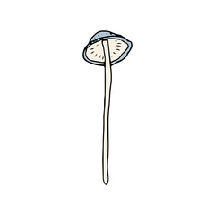 Mushroom, great design for any purposes. Doodle vector illustration. Edible mushrooms and toadstools. Healthy food illustration. Autumn forest plants sketches for textiles, wallpaper, coloring