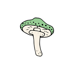 Mushroom, great design for any purposes. Doodle vector illustration. Edible mushrooms and toadstools. Healthy food illustration. Autumn forest plants sketches for textiles, wallpaper, coloring