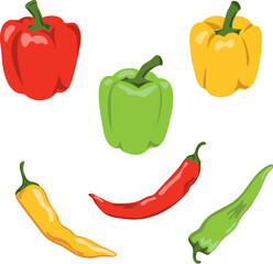 Set of colorful peppers. Bell peppers and chili vector illustration.