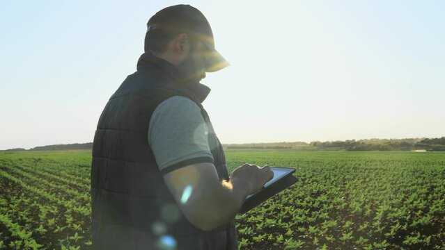 Botanist agronomist man with tablet on farm field checks inspects plants growth and collects data. Worker compiles report of plant cultivation. Caucasian male on farmland controls planting seedlings.