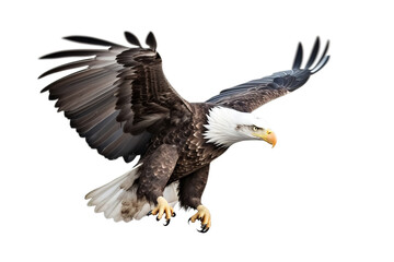 Fototapeta premium Image of a bald eagle spreading wings on white background. Birds. Wildlife Animals. Illustration, Generative AI.