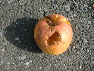 道路に打ち捨てられたリンゴ