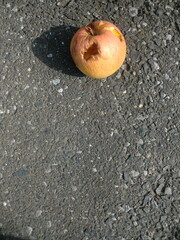 道路に打ち捨てられたリンゴ
