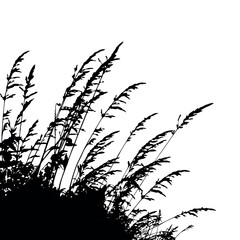 field grass silhouette 1