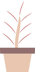 illustration of a plant in a pot. plants with colored leaves