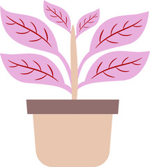 Obraz premium illustration of a plant in a pot. plants with colored leaves