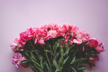 Naklejka na ściany i meble Beautiful pink peony flowers on a pink background with copy space for your text top view and flat lay style