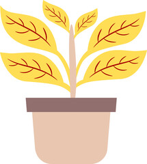 illustration of a plant in a pot. plants with colored leaves