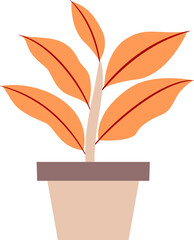 illustration of a plant in a pot. plants with colored leaves
