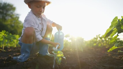 Little boy farmer planting seedlings sprout in open soil ground at sunset. Kid in straw hat working with interest on agricultural field. Spring works, replanting seedlings on farm. Child nature lover.