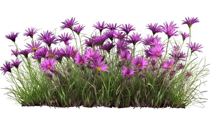 Purple Wildflower Isolated on White: Capture the Beauty of Spring Greenery. Generative AI - obrazy, fototapety, plakaty
