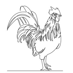 cock
