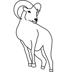 Goat illustration