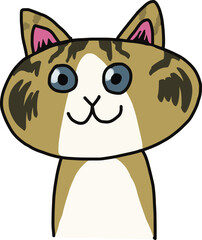 cat blue eyes smiling at people