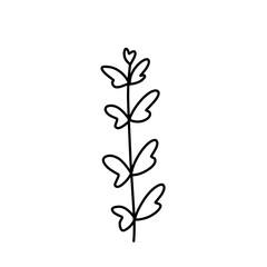 Aesthetic Botanical floral line