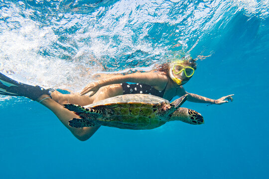 Snorkeling with a sea turtle. Girl swimming with a mask next to the turtle, Maldives