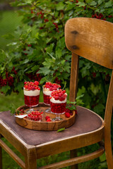 red currant, raspberries and wild strawberries jelly and vanilla cream dessert