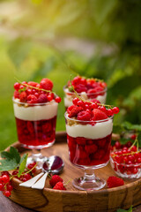 summer mixed red  berries jelly and vanilla cream dessert