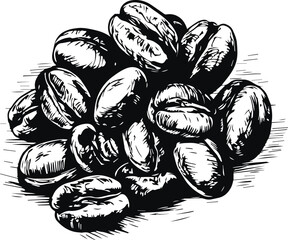 Сoffee beans, Vector illustration, SVG