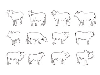 Cows line art collection black and white
