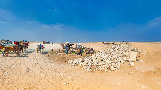 W&uuml;ste Karavane Kamele &Auml;gypten